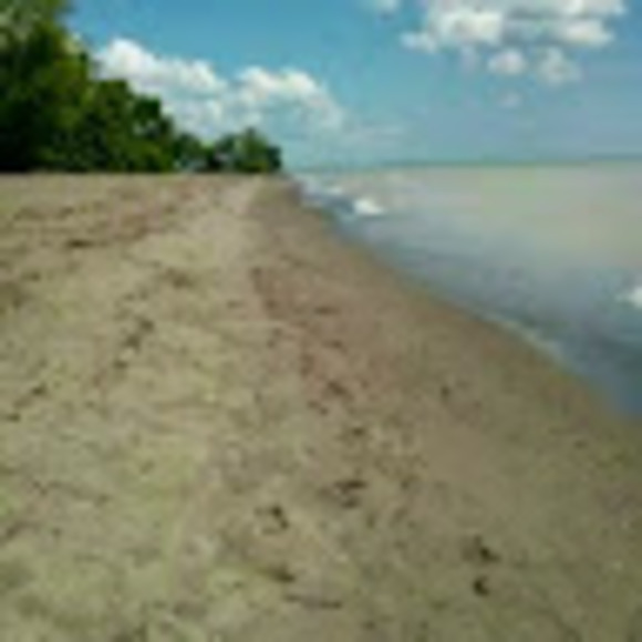 jenrebb